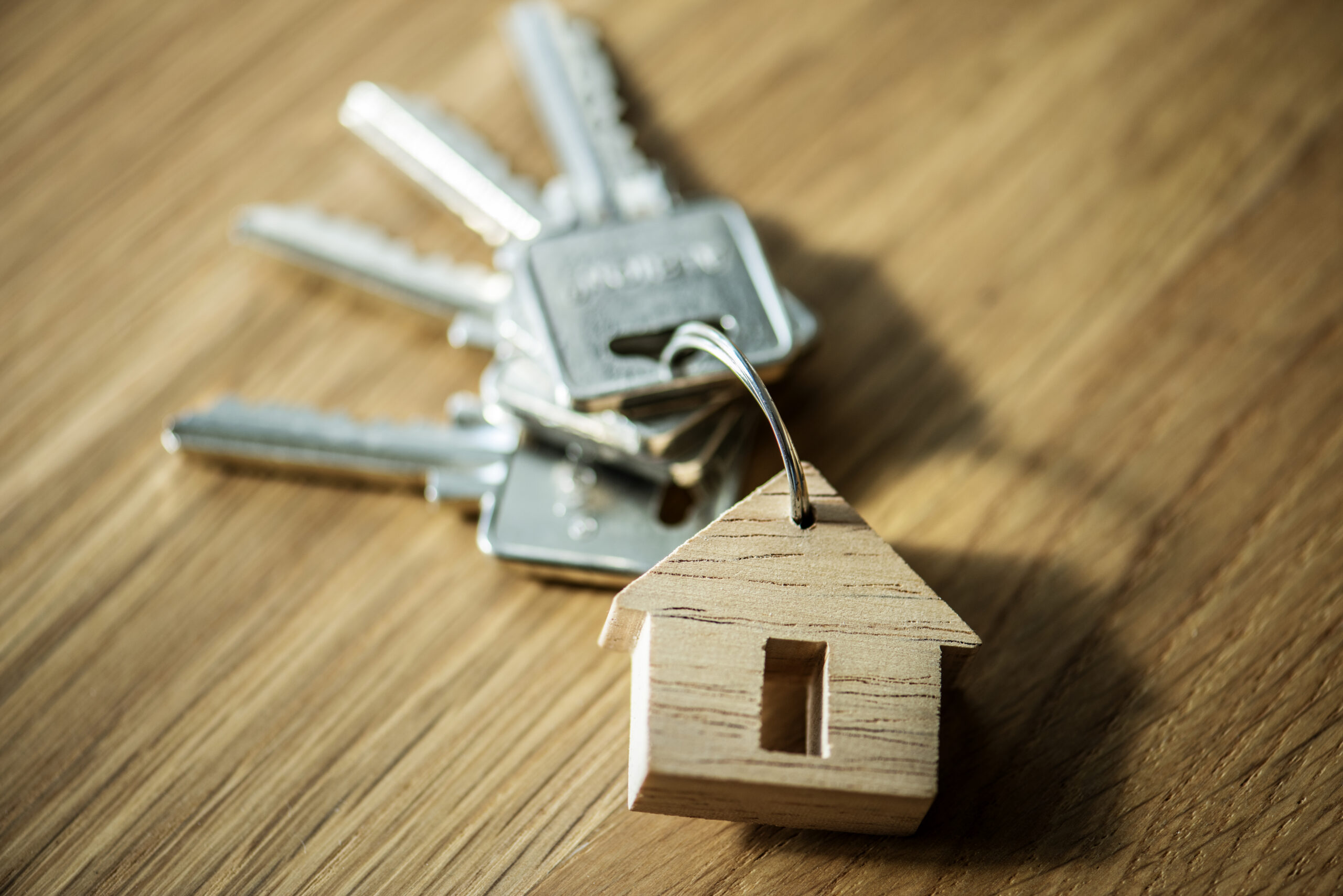 Is Rhino security deposit worth it for renters comparing deposit alternatives